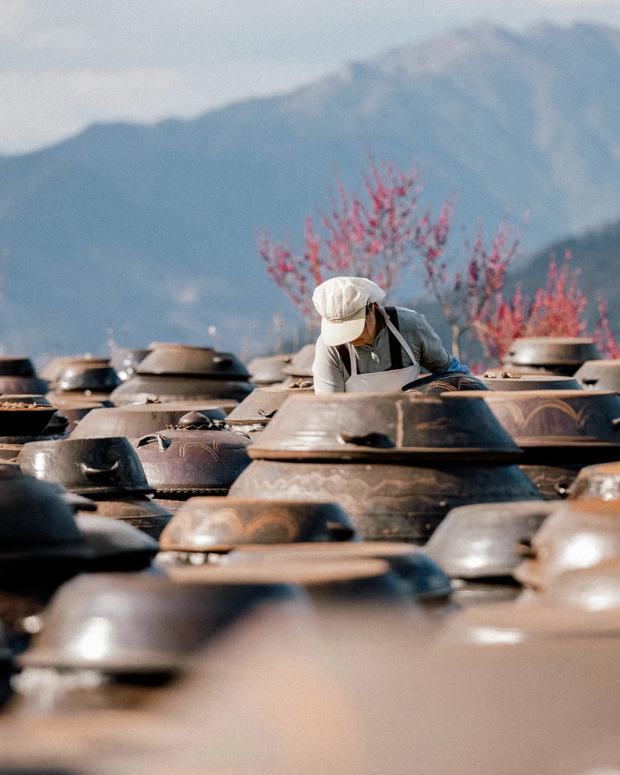 Korean woman making Kimchi 